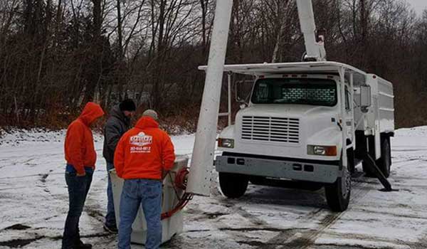 Affordable Tree Services in Newtown, CT