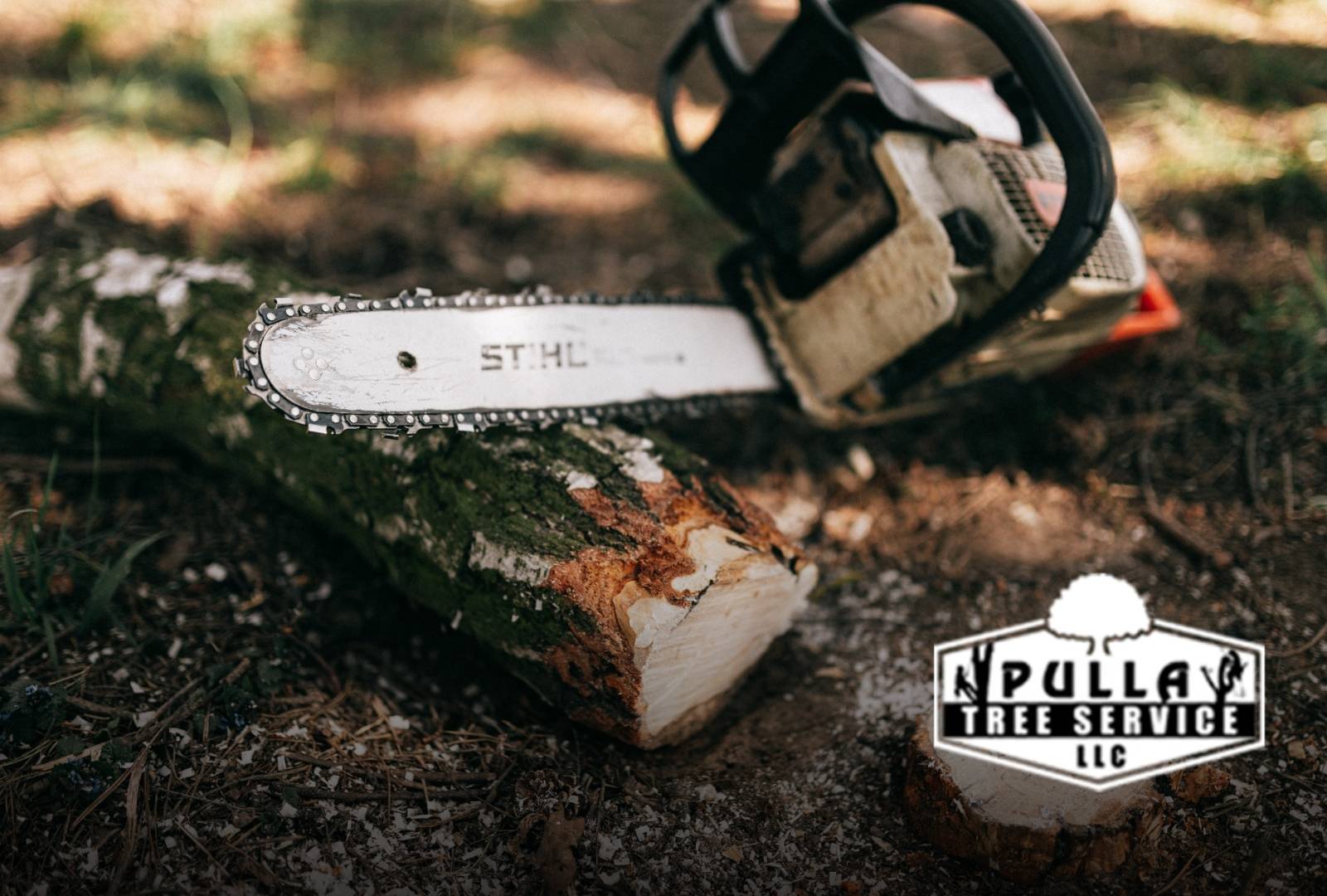 Professional arborist using tree removal tools and chainsaw to cut hazardous tree