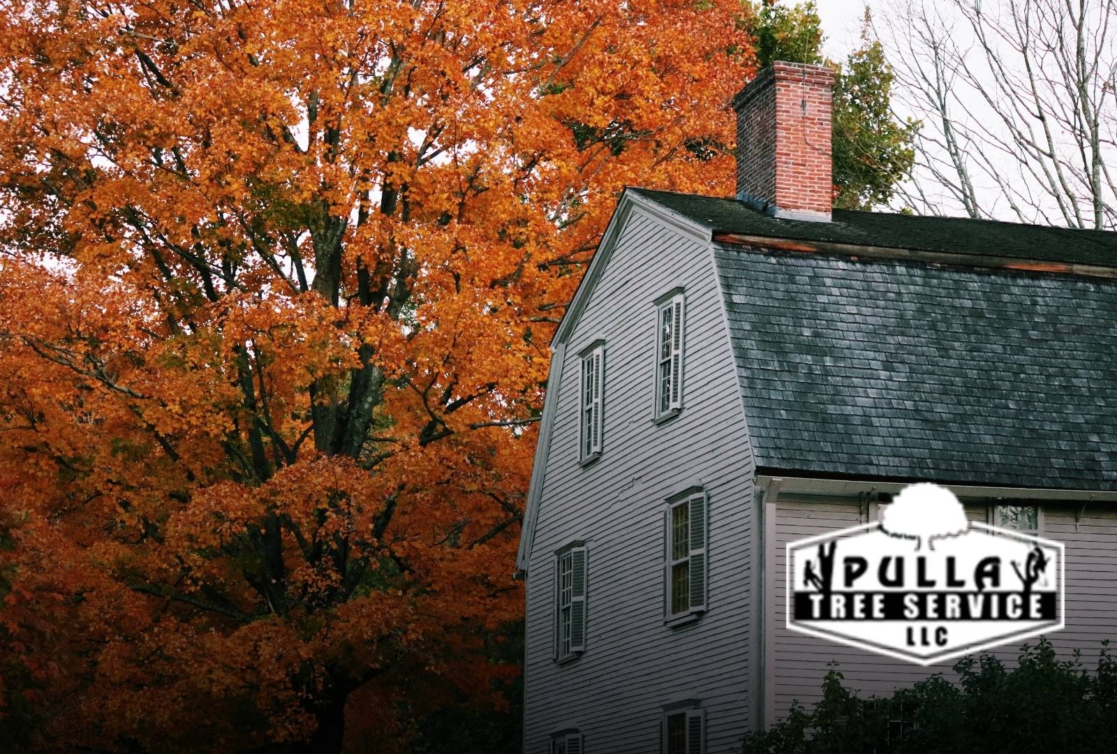 utumn tree care tips pruning and seasonal preparation