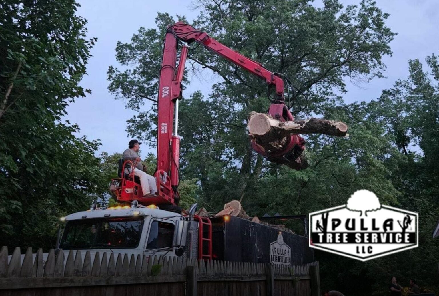 Essential Tips for Safe Tree Removal - Pulla Tree Service LLC