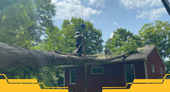 storm-damage-services