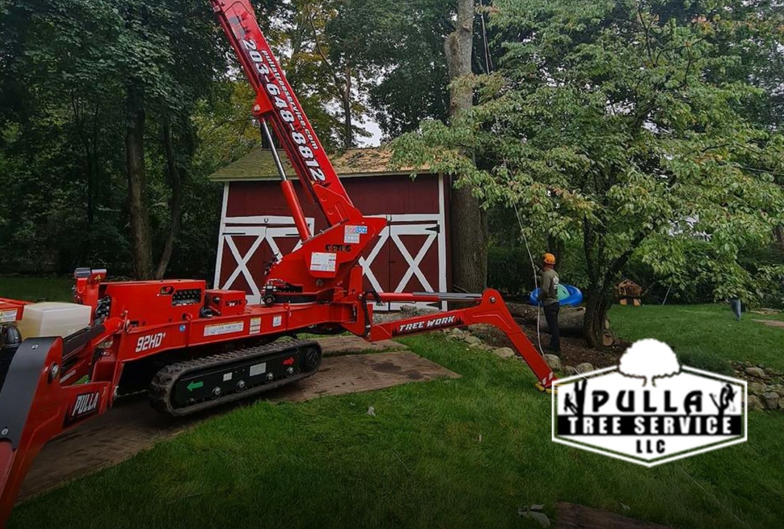 Reasons for tree removal