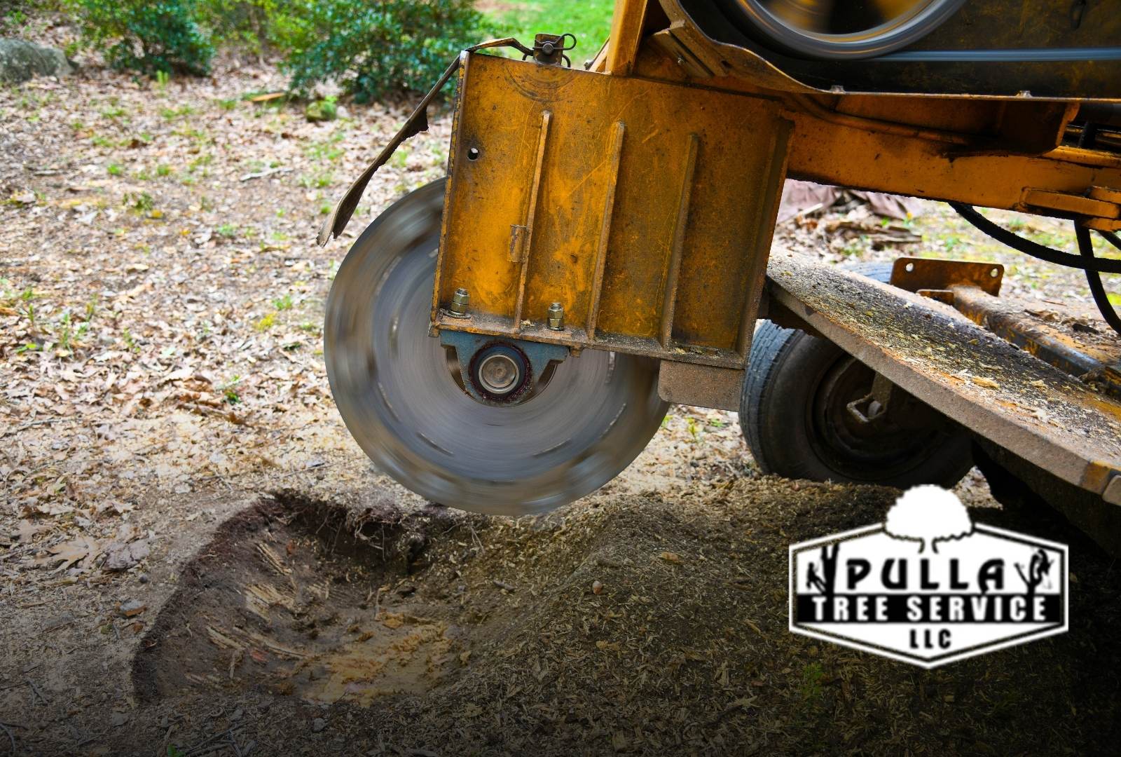 Step-by-step process of grinding a tree stump