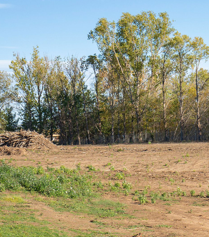 Fully cleared property ready for construction, gardening, or other projects.