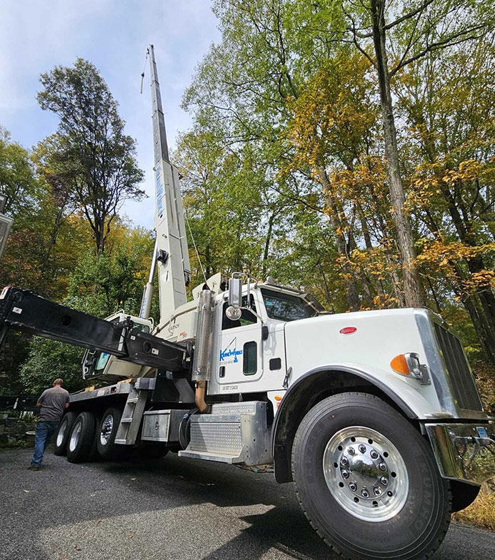 Crane assisted tree removal for large or hard-to-reach trees.