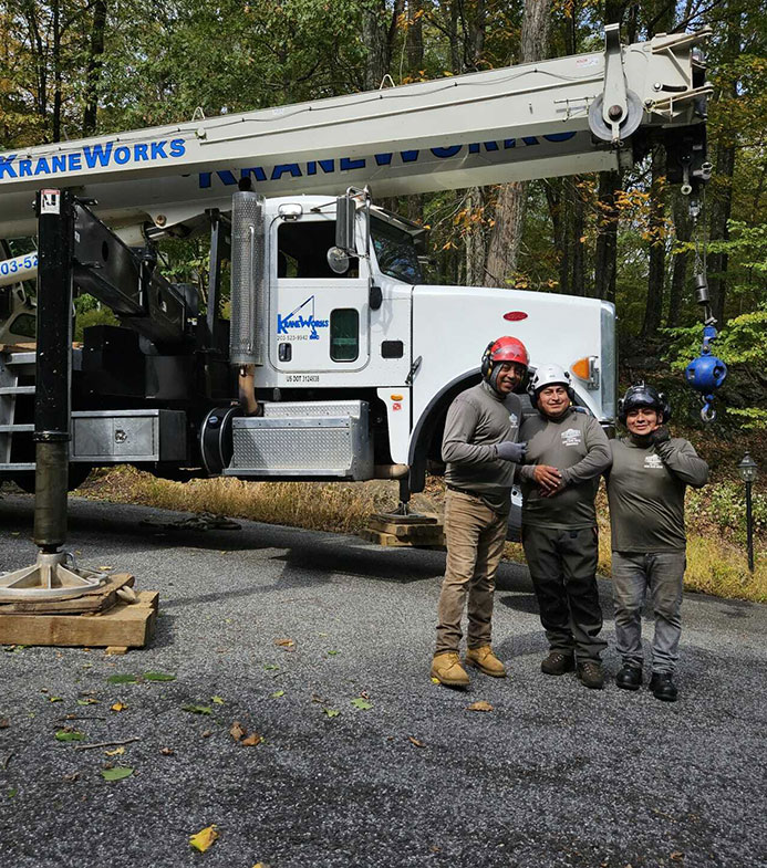 Professional tree removal service in Fairfield CT ensuring fast, safe, and reliable removal to protect your property.