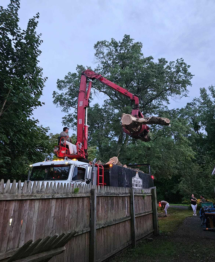 Pulla Tree Service LLC team removing trees and debris during lot clearing.