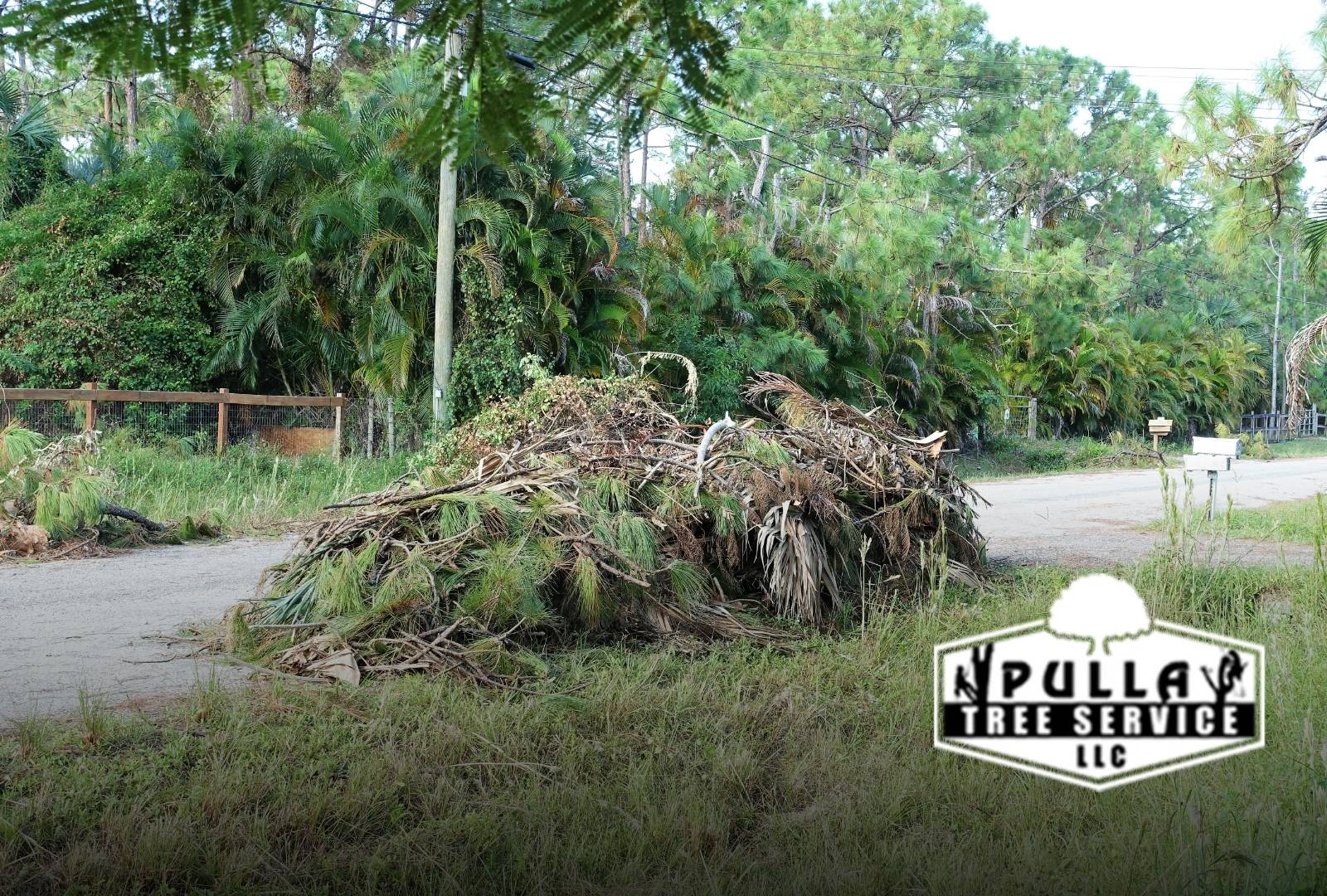 Homeowner following Best Practices for Tree Debris Cleanup in Stamford, CT after a storm