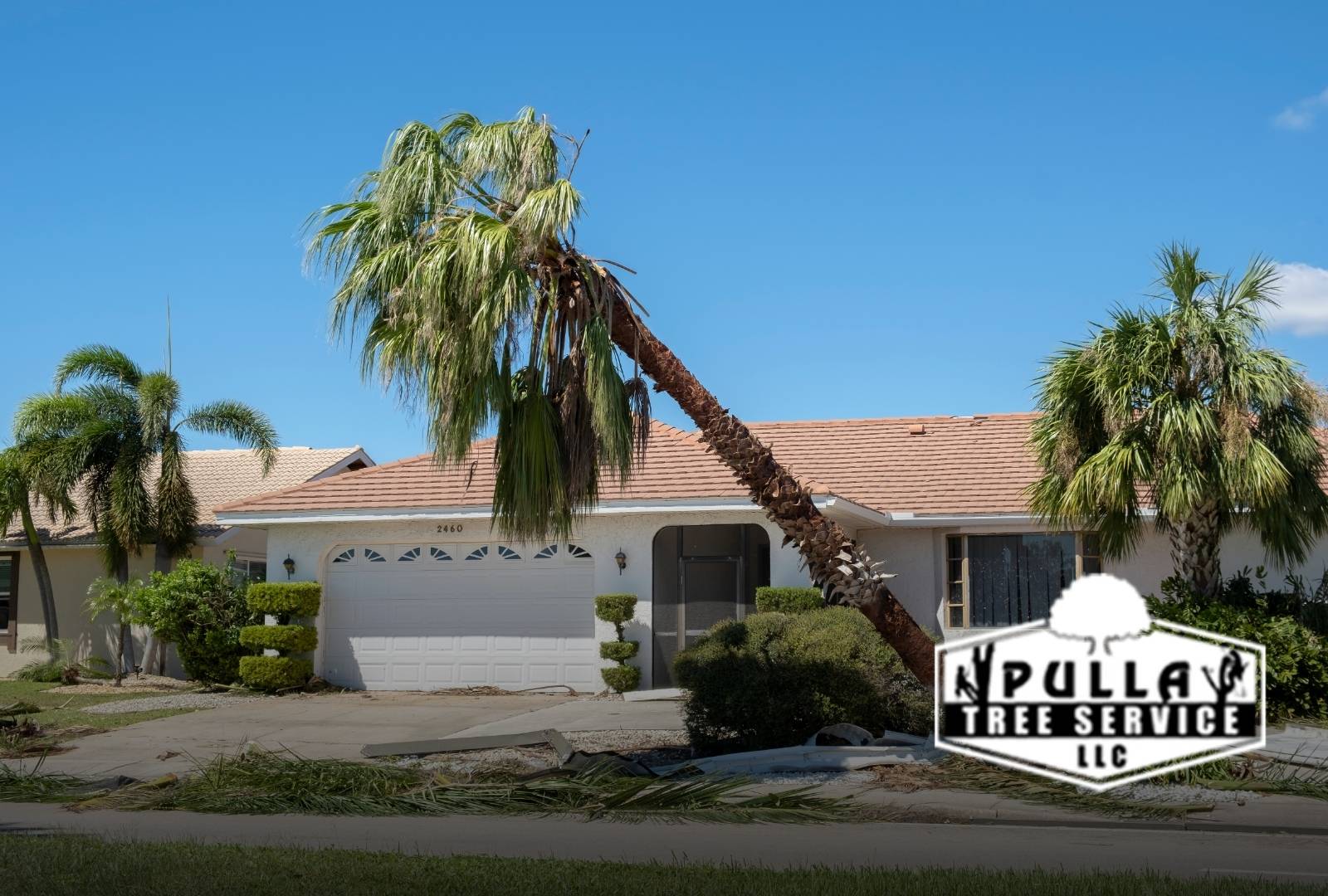 Tree Down in Shelton, CT blocking a residential street after a storm
