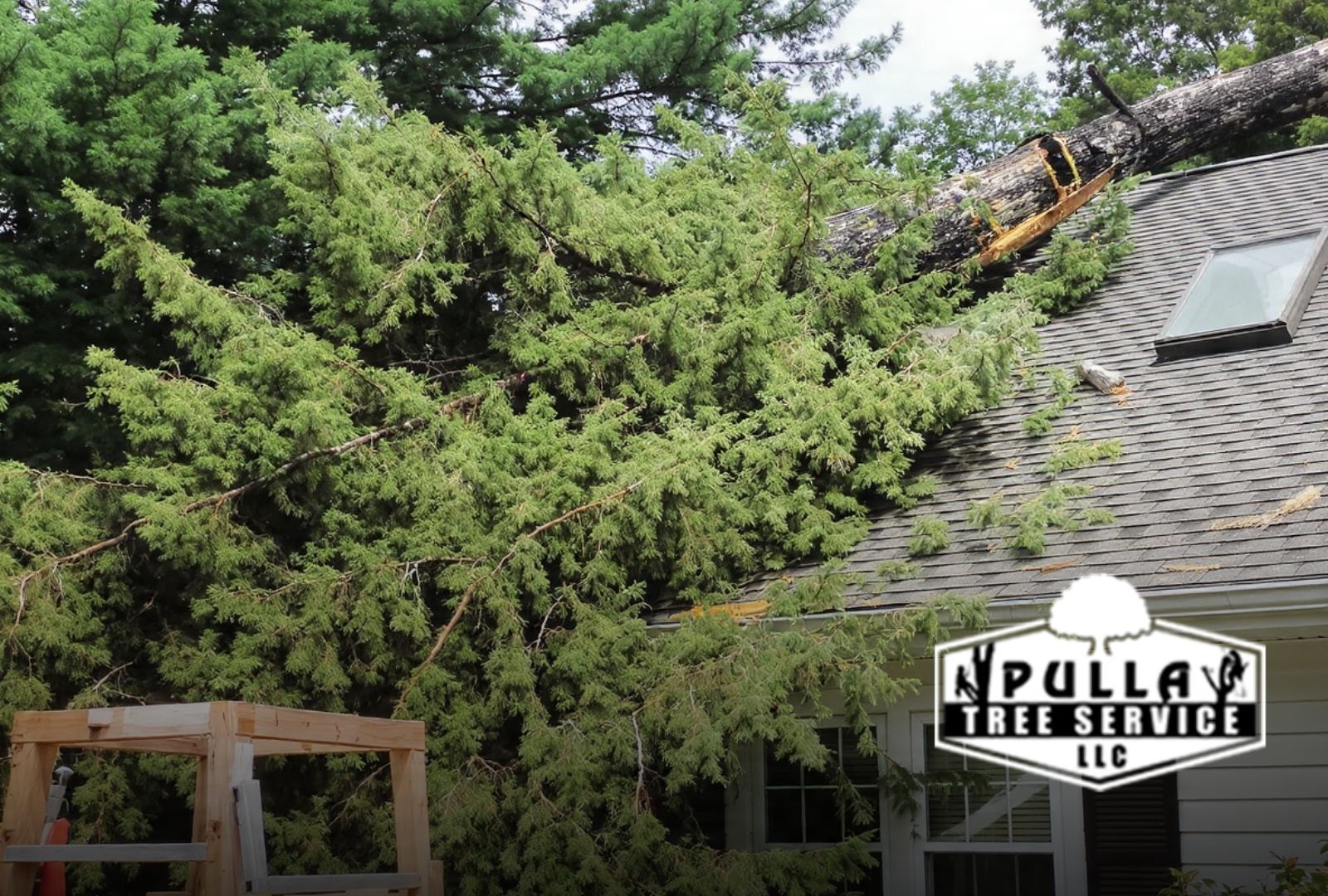 Site photos supporting a tree removal insurance claim Connecticut homeowners may file after wind damage