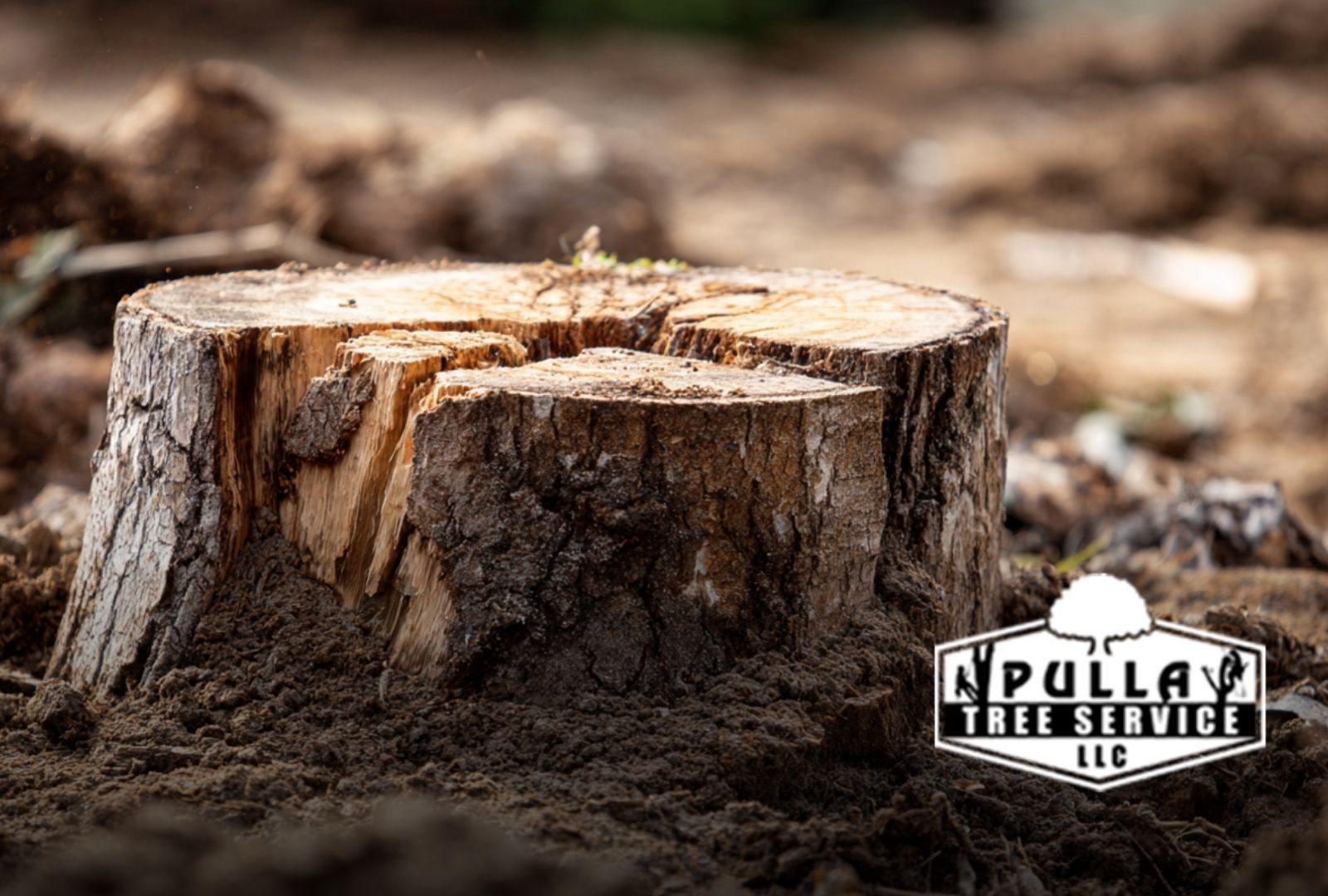 Stump grinding cost guide showing how stump size and access affect the project