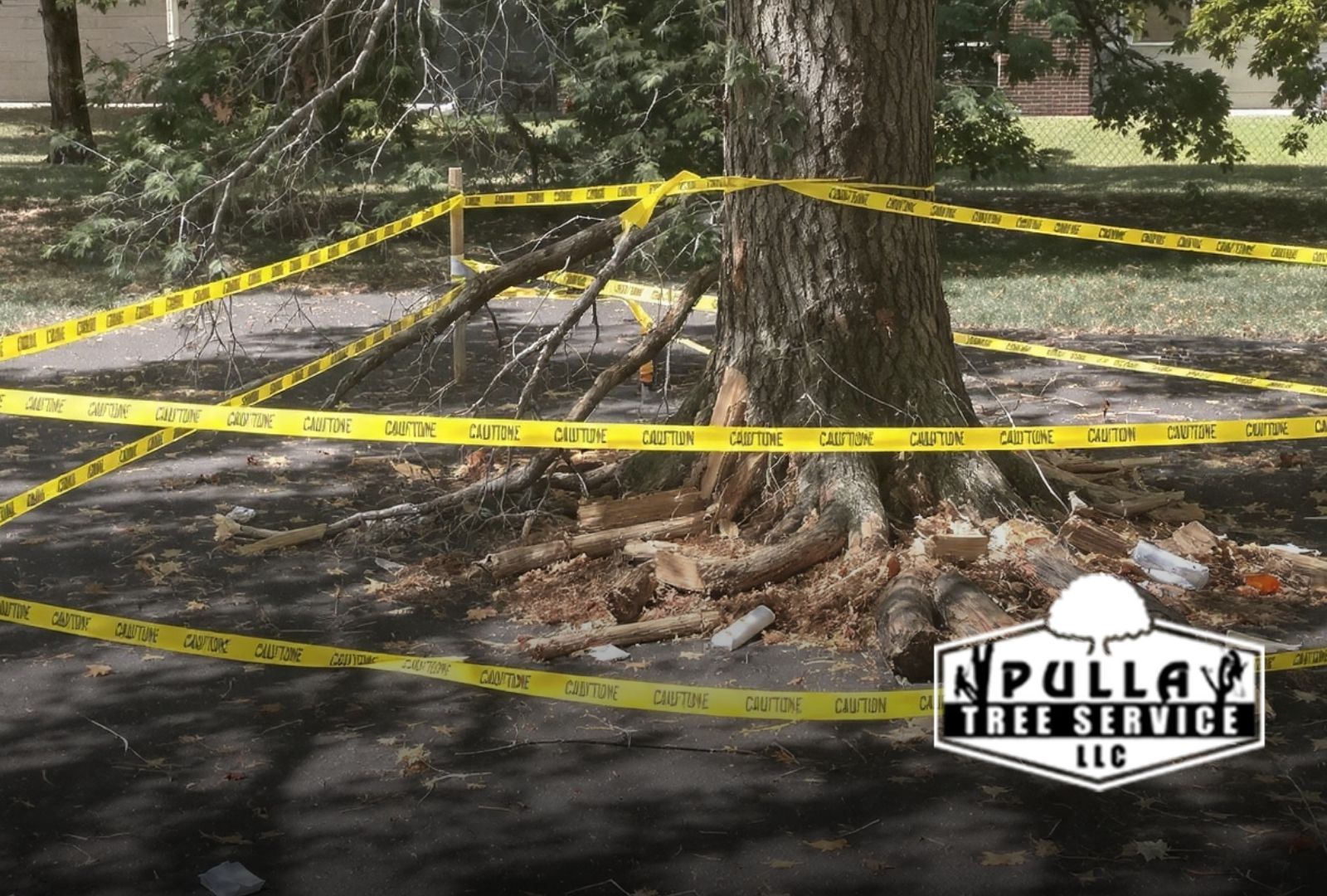 Never Do This During a Tree Removal by skipping a marked safety zone around the work area.