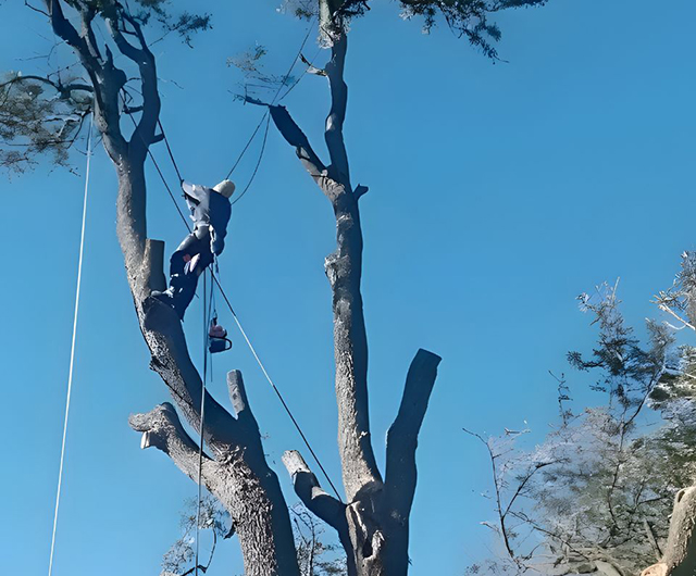 Licensed and insured emergency team handling urgent cleanup safely