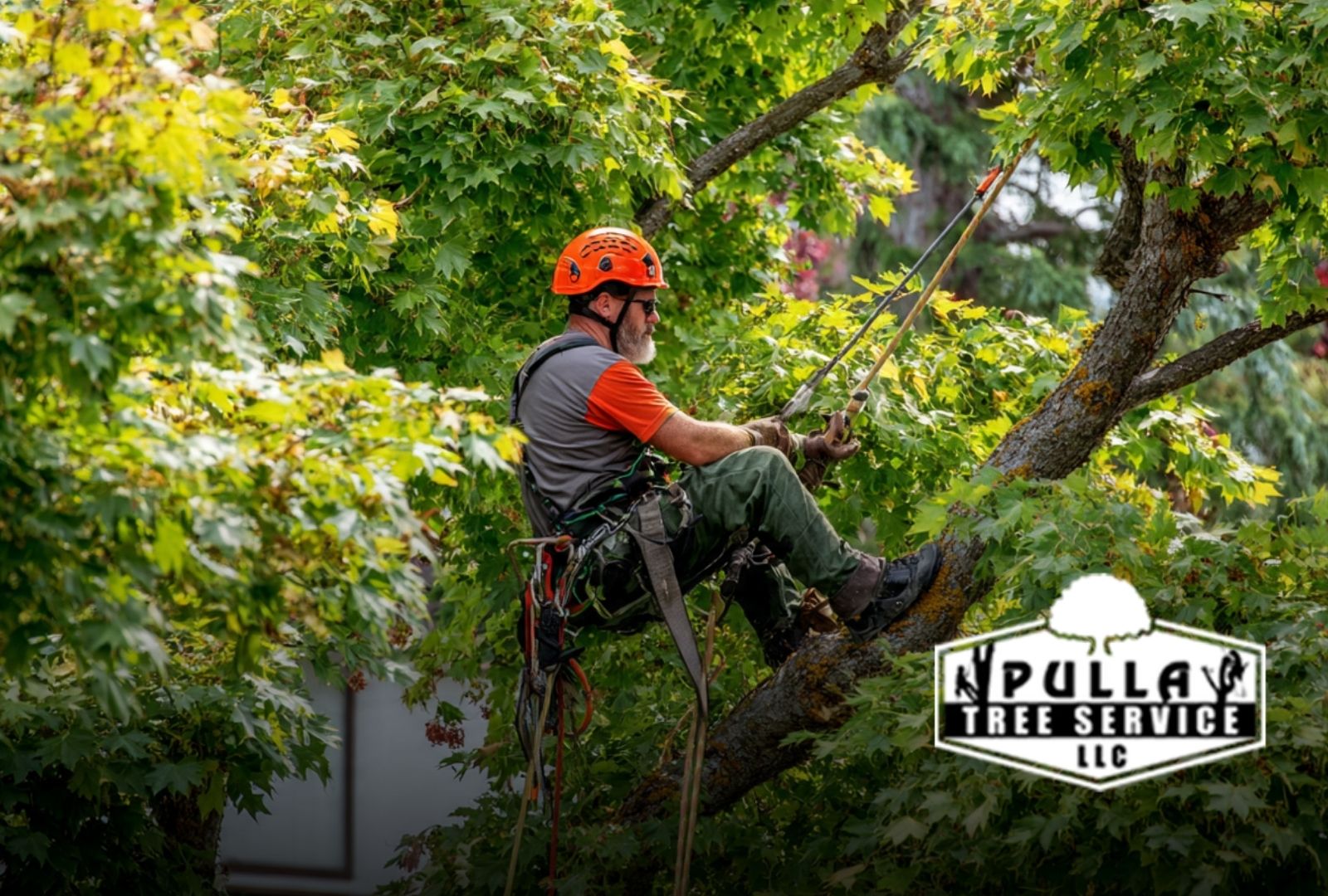 Benefits of Hiring Tree Experts improving property safety around a home