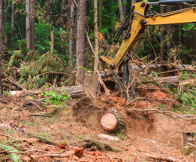 Emergency hazard clearing after storm damage at a property in Greenwich, CT