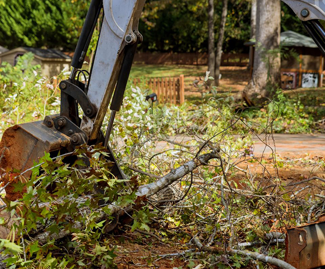 Emergency storm cleanup team removing debris and broken limbs in Norwalk, CT