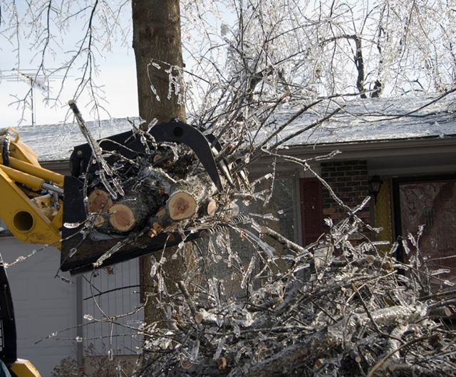 Emergency storm cleanup clearing a blocked driveway after severe weather in Stamford, CT