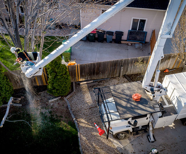Crew performing emergency tree removal at a home in Stamford, CT