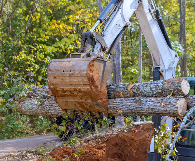 Cleanup crew removing a large fallen trunk from a driveway in Norwalk, CT