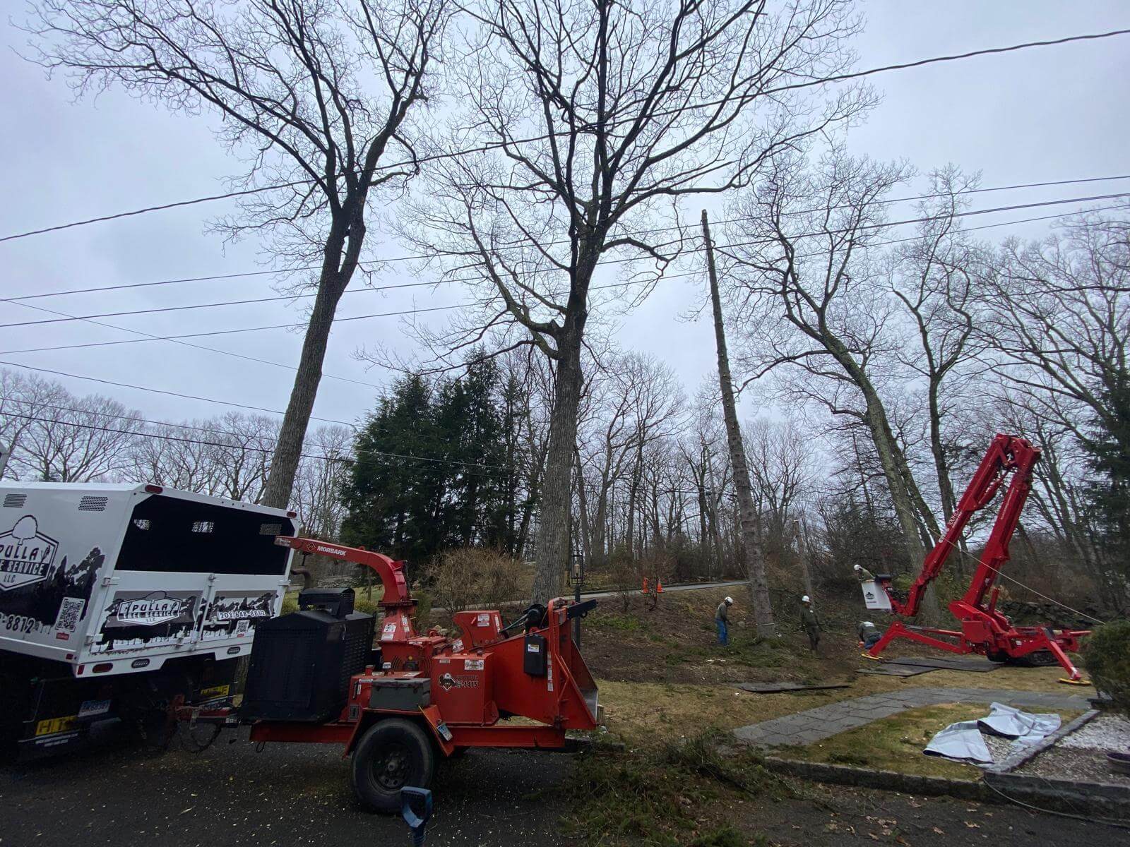 portfolio-4-pulla-tree-service