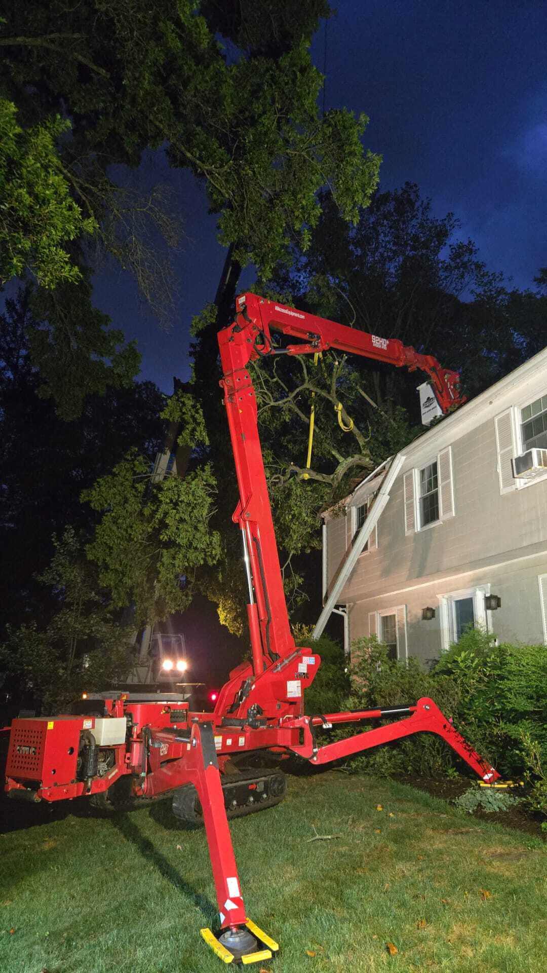 portfolio-5-pulla-tree-service