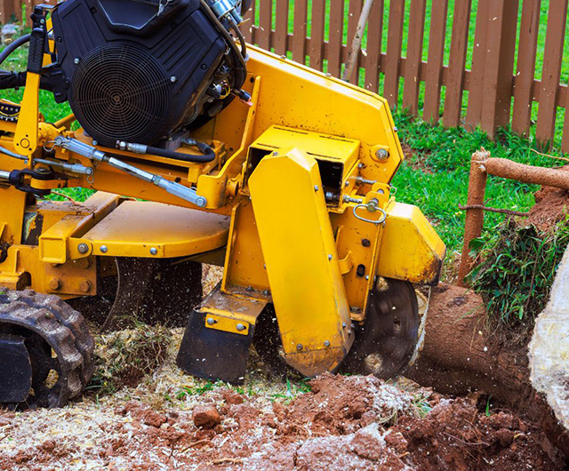 Post storm debris removal service clearing broken limbs in Stamford, CT