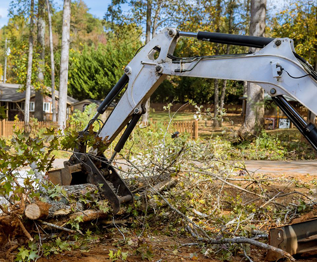 Professional crew handling storm damage cleanup safely and quickly