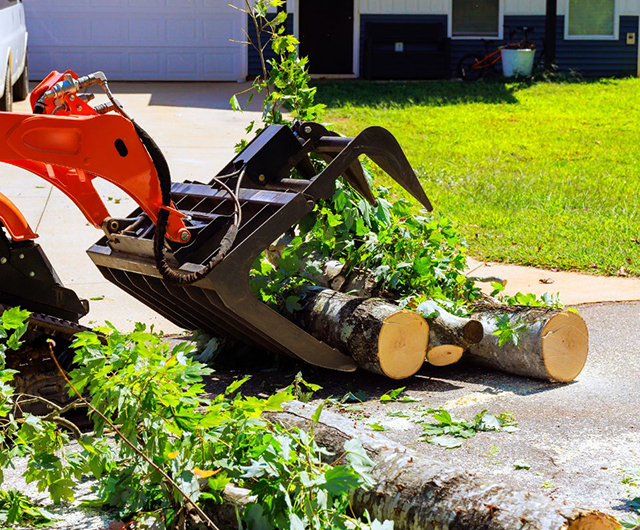 Same-day debris removal service cleaning a residential yard in Fairfield, CT