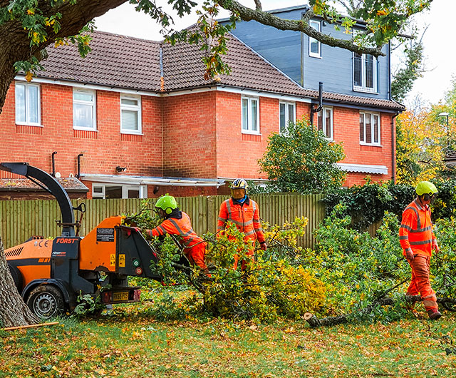 Storm cleanup team clearing branches and debris in Stamford, CT