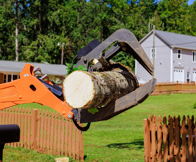 Storm debris cleanup service removing broken branches and yard debris in Greenwich, CT