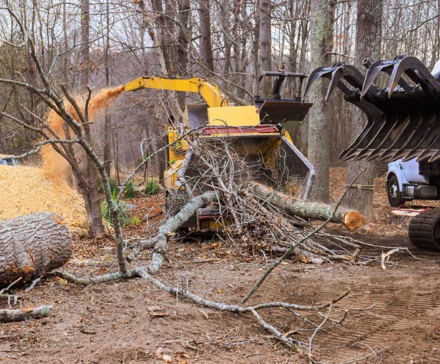 Crew removing thick brush from a property in Newtown, CT