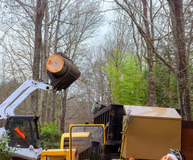 Land clearing team opening space on a Newtown, CT property