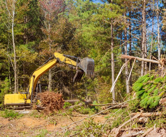 Licensed and insured lot clearing company in Shelton, CT at work