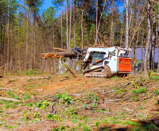 Residential and commercial lot clearing project in Newtown, CT