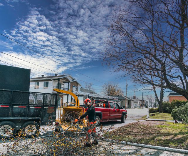 Residential land clearing in Westport, CT with open clean yard space
