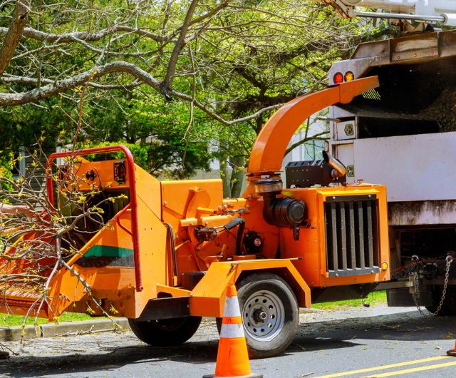 Residential lot clearing in Shelton, CT with open clean land after service