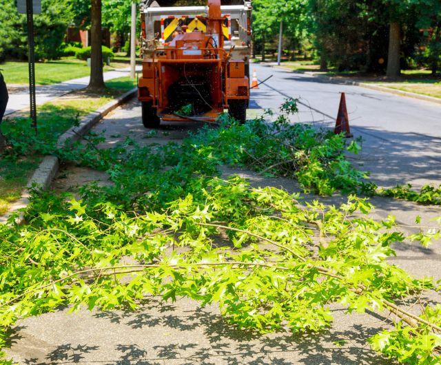 Storm debris lot clearing service cleaning fallen limbs in Westport