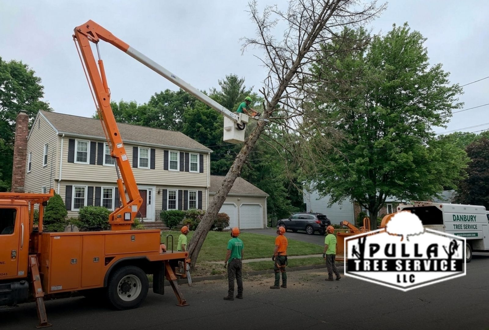 local team performing hazardous tree removal in Danbury CT