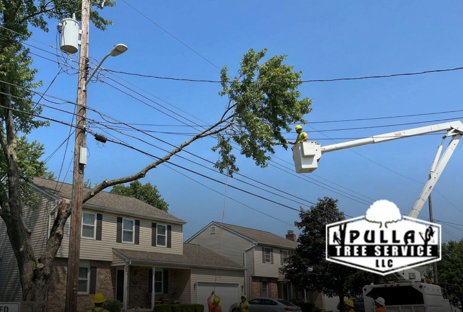 Trained crew planning tree removal near power lines