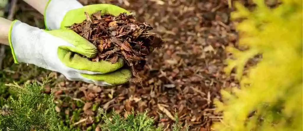 Best way to mulch leaves