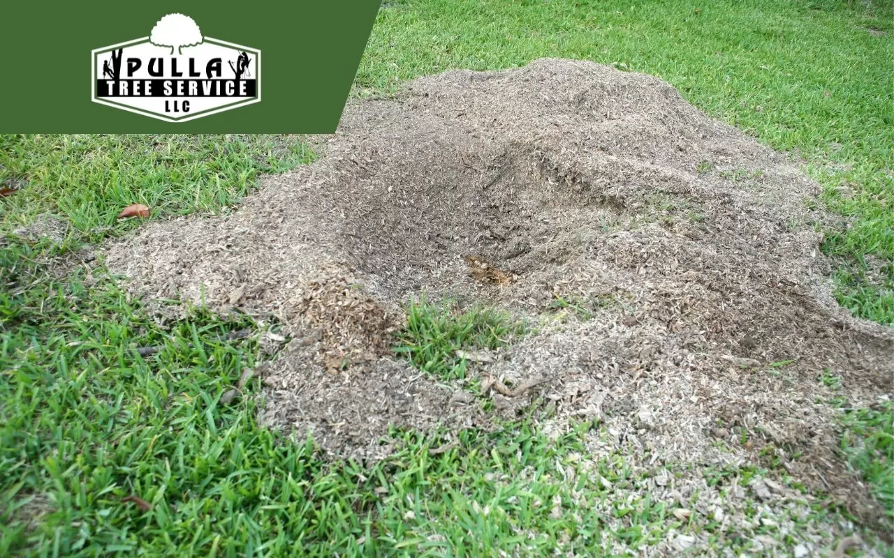 Discover the best tips and facts to know what to do after stump grinding